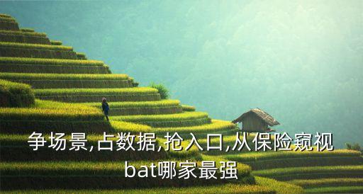 爭場景,占數(shù)據(jù),搶入口,從保險窺視bat哪家最強