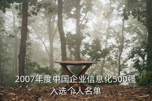 2007年度中國企業(yè)信息化500強入選個人名單