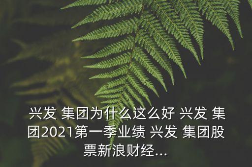  興發(fā) 集團為什么這么好 興發(fā) 集團2021第一季業(yè)績 興發(fā) 集團股票新浪財經(jīng)...