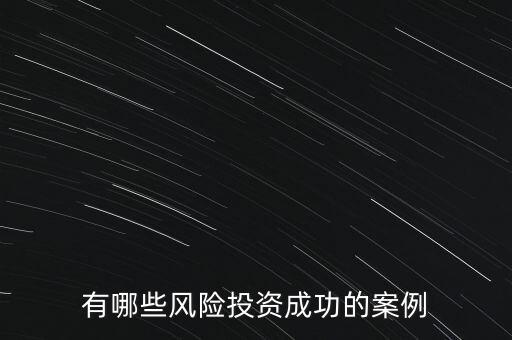 有哪些風(fēng)險(xiǎn)投資成功的案例