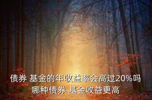 債券 基金的年收益率會高過20%嗎哪種債券 基金收益更高