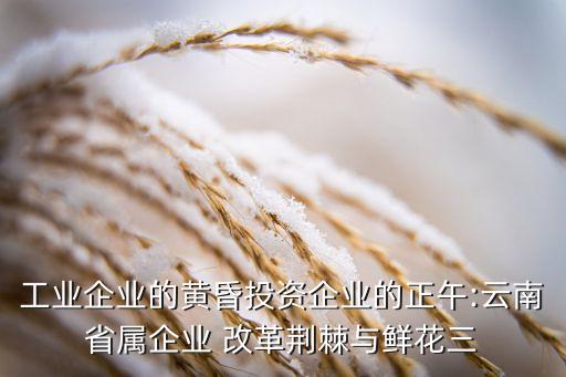 工業(yè)企業(yè)的黃昏投資企業(yè)的正午:云南省屬企業(yè) 改革荊棘與鮮花三