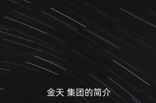  金天 集團(tuán)的簡(jiǎn)介