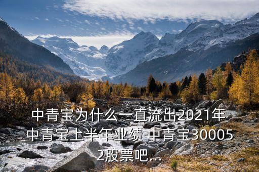  中青寶為什么一直流出2021年 中青寶上半年業(yè)績(jī) 中青寶300052股票吧...