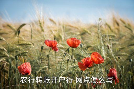 農(nóng)行轉(zhuǎn)賬開戶行 網(wǎng)點(diǎn)怎么寫