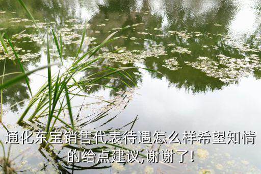 通化東寶銷(xiāo)售代表待遇怎么樣希望知情的給點(diǎn)建議,謝謝了!