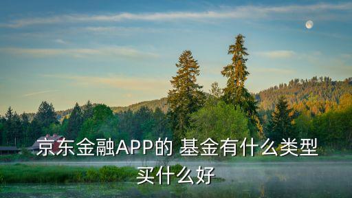  京東金融APP的 基金有什么類型買(mǎi)什么好