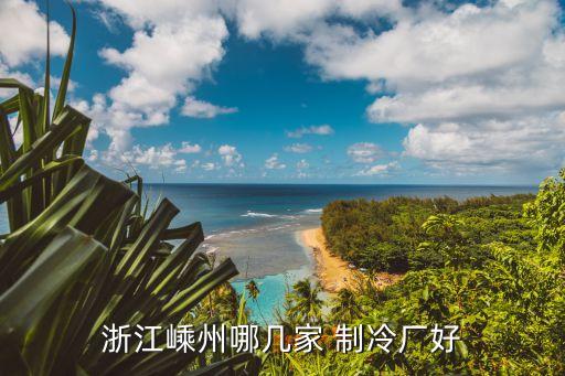 浙江嵊州哪幾家 制冷廠好