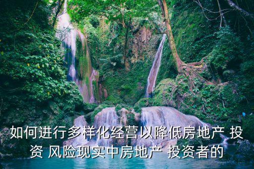 如何進(jìn)行多樣化經(jīng)營(yíng)以降低房地產(chǎn) 投資 風(fēng)險(xiǎn)現(xiàn)實(shí)中房地產(chǎn) 投資者的