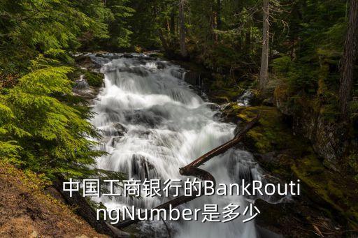  中國工商銀行的BankRoutingNumber是多少