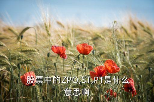  股票中的ZPO,ST,PT是什么意思啊