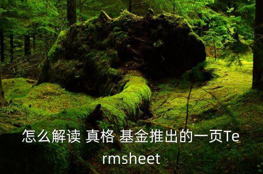 怎么解讀 真格 基金推出的一頁(yè)Termsheet