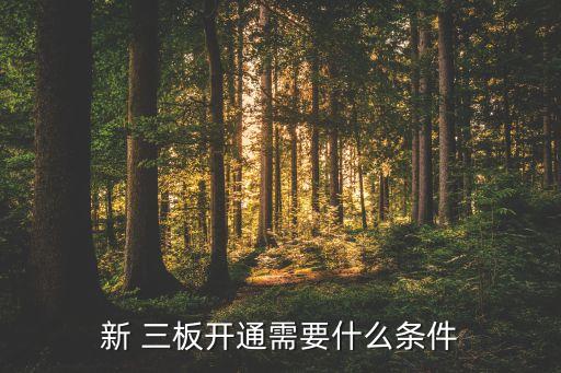 新 三板開通需要什么條件