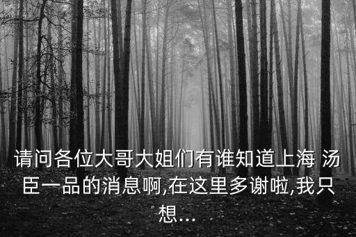 請(qǐng)問(wèn)各位大哥大姐們有誰(shuí)知道上海 湯臣一品的消息啊,在這里多謝啦,我只想...