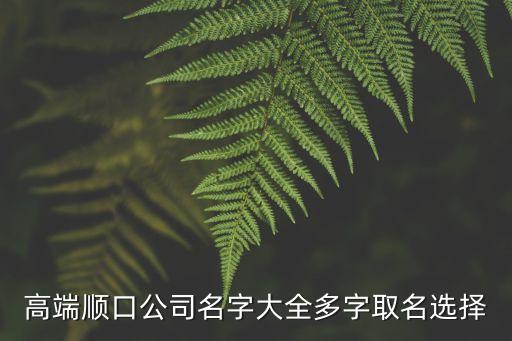 高端順口公司名字大全多字取名選擇