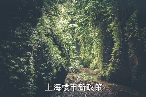  上海樓市新政策