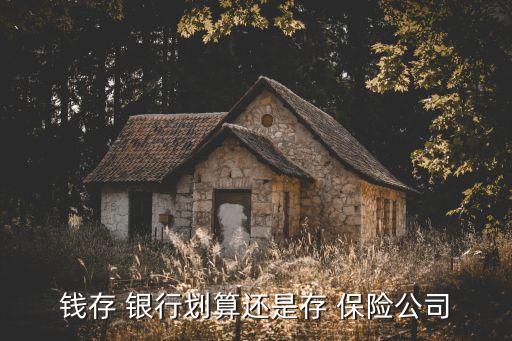 錢存 銀行劃算還是存 保險(xiǎn)公司