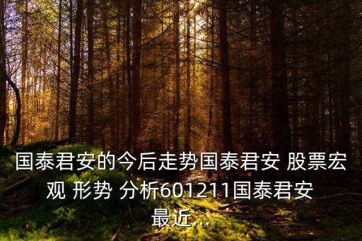 國泰君安的今后走勢國泰君安 股票宏觀 形勢 分析601211國泰君安最近...