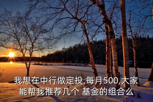 我想在中行做定投,每月500,大家能幫我推薦幾個 基金的組合么