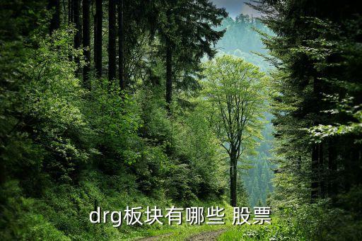 drg板塊有哪些 股票