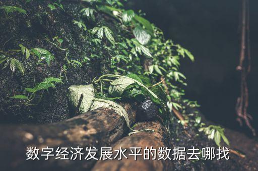 數(shù)字經(jīng)濟發(fā)展水平的數(shù)據(jù)去哪找