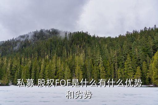 私募股權(quán)投資前景,不動(dòng)產(chǎn)私募股權(quán)投資基金