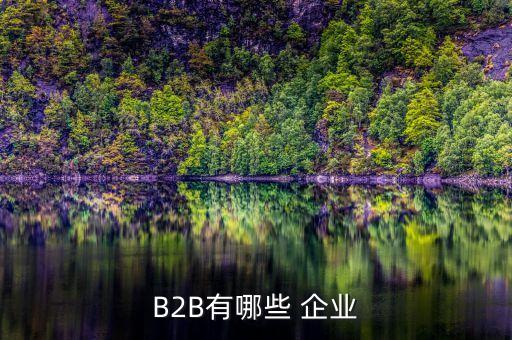 B2B有哪些 企業(yè)