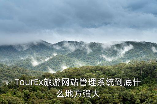 TourEx旅游網(wǎng)站管理系統(tǒng)到底什么地方強(qiáng)大