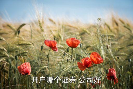 開(kāi)戶哪個(gè)證券 公司好