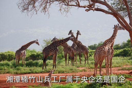 湘潭楠竹山兵工廠屬于央企還是國企