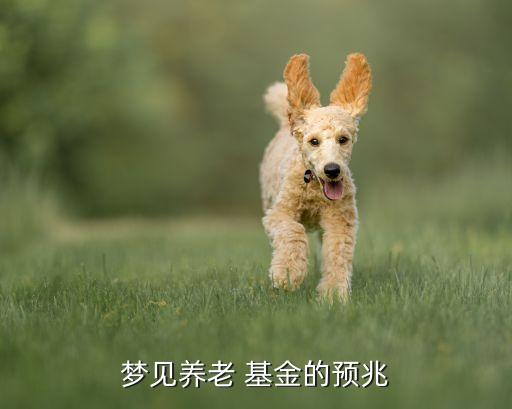 雷雨基金