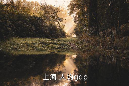  上海 人均gdp