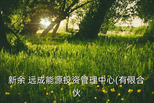 新余 遠(yuǎn)成能源投資管理中心(有限合伙