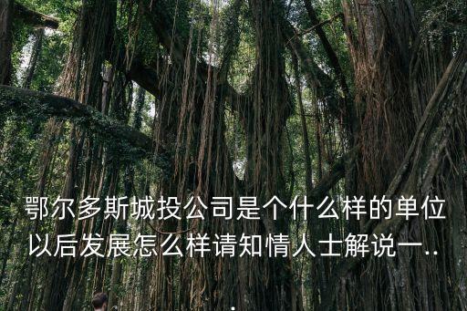  鄂爾多斯城投公司是個(gè)什么樣的單位以后發(fā)展怎么樣請(qǐng)知情人士解說(shuō)一...