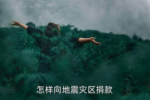 怎樣向地震災(zāi)區(qū)捐款