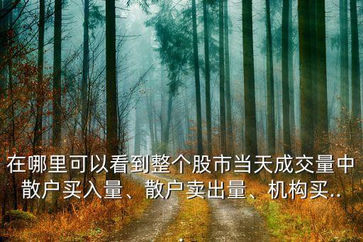 在哪里可以看到整個股市當天成交量中散戶買入量、散戶賣出量、機構買...