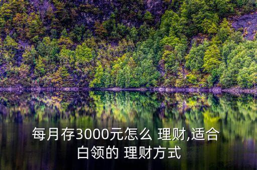 每月存3000元怎么 理財,適合 白領(lǐng)的 理財方式