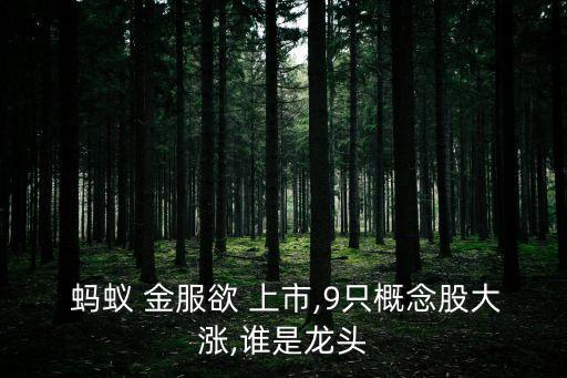 螞蟻金服美國上市公司,和螞蟻金服相關(guān)的上市公司