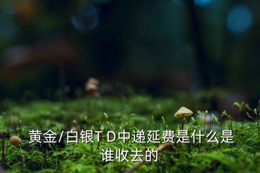  黃金/白銀T D中遞延費(fèi)是什么是誰收去的