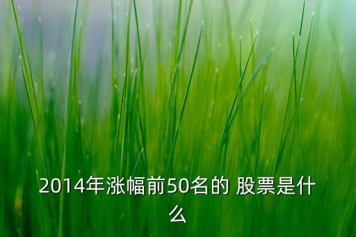 2014年漲幅前50名的 股票是什么