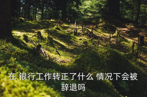 在 銀行工作轉(zhuǎn)正了什么 情況下會被辭退嗎