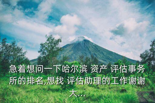 中和資產評估有限責任公司,西安正衡資產評估有限責任公司