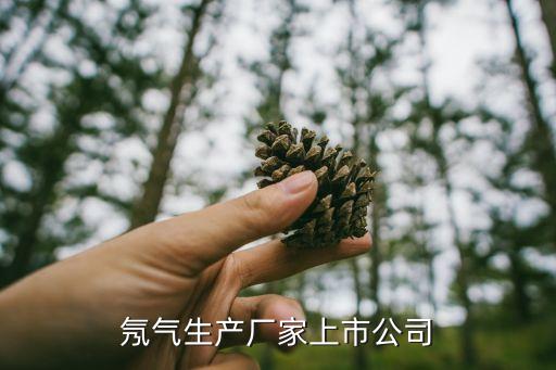 氖氣生產(chǎn)廠家上市公司