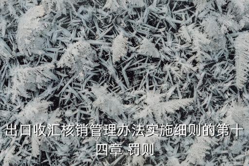 出口收匯核銷管理辦法實(shí)施細(xì)則的第十四章 罰則