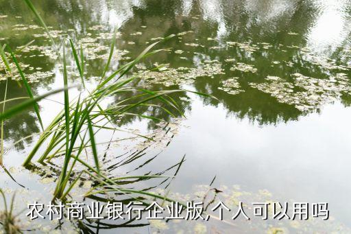 長沙農(nóng)村合作銀行開對公賬戶,長沙商轉(zhuǎn)公直轉(zhuǎn)合作銀行有哪些