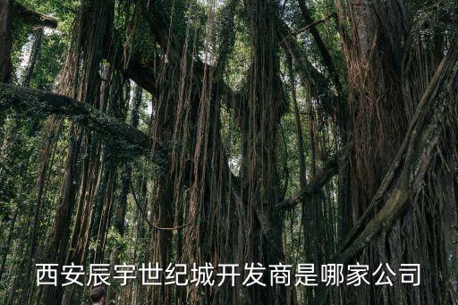 西安辰宇世紀(jì)城開發(fā)商是哪家公司