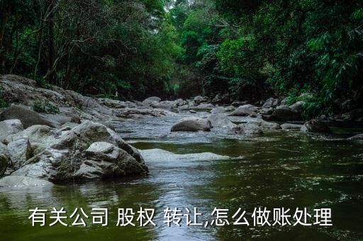 有關公司 股權 轉(zhuǎn)讓,怎么做賬處理