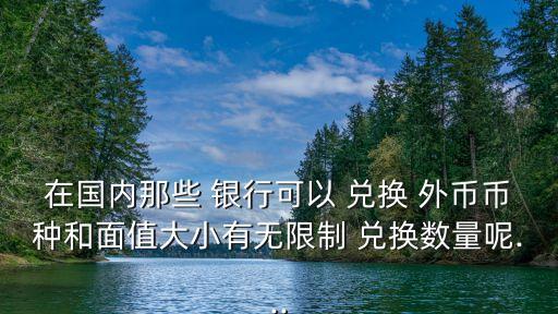 在國(guó)內(nèi)那些 銀行可以 兌換 外幣幣種和面值大小有無(wú)限制 兌換數(shù)量呢...