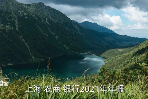  上海 農商 銀行2021年年報