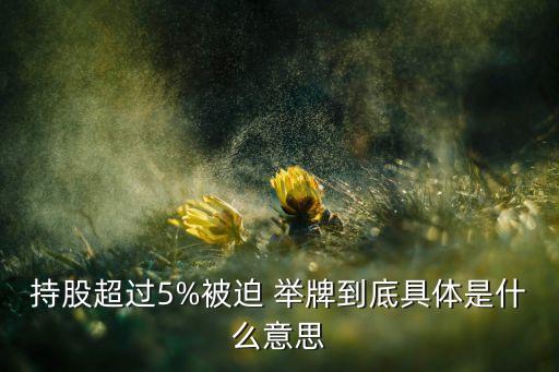 持股超過5%被迫 舉牌到底具體是什么意思